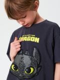 Komplet od žerseja How to train your dragon - više boja - SINSAY - small4