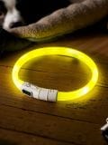 LED περιλαίμιο για κατοικίδια - ανοιχτο κιτρινο - SINSAY - small1