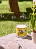 Lõhnaküünal Pinacolada - kollane - SINSAY - small1