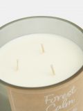 Forest Calm scented candle - green - SINSAY - small2