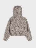 Bomber-jakk - mitmevärviline - SINSAY - small7