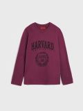 Лонгслів Harvard - рожевувато-ліловий - SINSAY - small2