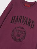 Лонгслів Harvard - рожевувато-ліловий - SINSAY - small4