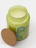 Κερί Lemon Splash - πρασινο παλ - SINSAY - small2