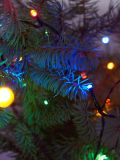 LED-tuled - mitmevärviline - SINSAY - small1