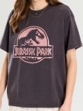 Oversized-lõikega T-särk Jurassic Park - tumehall - SINSAY - small1