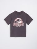 Oversized-lõikega T-särk Jurassic Park - tumehall - SINSAY - small3