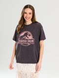 Oversized-lõikega T-särk Jurassic Park - tumehall - SINSAY - small6