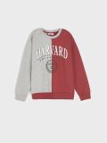 Felpa Harvard - multicolor - SINSAY - small2
