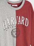 Felpa Harvard - multicolor - SINSAY - small4