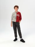 Felpa Harvard - multicolor - SINSAY - small3
