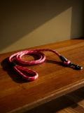 Leash za životinje - crveno - SINSAY - small1