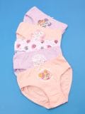 Aluspüksid, 5 paari PAW Patrol - mitmevärviline - SINSAY - small1