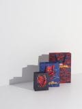Poklon torba 3 pack Spider-Man - više boja - SINSAY - small1