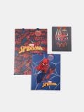 Poklon torba 3 pack Spider-Man - više boja - SINSAY - small3