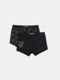 Boxershorts, 2er-Pack How to train your dragon - Mehrfarbig - SINSAY - small1