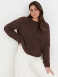Sweter - brązowy - SINSAY - small1