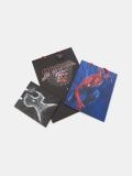 Kingikott Spider-man 3 pack - mitmevärviline - SINSAY - small2
