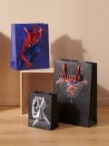 Kingikott Spider-man 3 pack - mitmevärviline - SINSAY - small1
