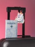 Etui za potni list - svetlo modra - SINSAY - small1