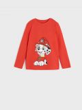 Set de 3 tricouri cu PAW Patrol și mânecă lungă - roșu - SINSAY - small4