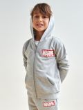 Mikina Marvel - šedá - SINSAY - small1