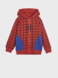 Kapuutsiga dressipluusi ja pükste komplekt Spider-Man - punane - SINSAY - small3
