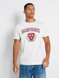 T-Shirt Harvard - Creme - SINSAY - small3