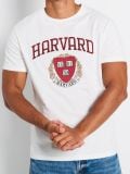 T-Shirt Harvard - Creme - SINSAY - small6
