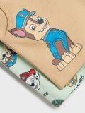 Komplet 2 kratkih hlač PAW Patrol - prašno rjava - SINSAY - small4