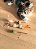 Kassi mänguasi 3 pack - tolmpruun - SINSAY - small1