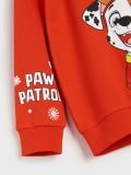 Світшот PAW Patrol - червоний - SINSAY - small6