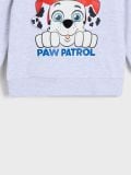 Duks Paw Patrol - siva - SINSAY - small11