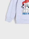 Duks Paw Patrol - siva - SINSAY - small12