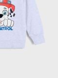 Duks Paw Patrol - siva - SINSAY - small13