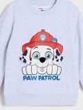 Duks Paw Patrol - siva - SINSAY - small15