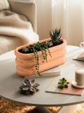 Saksija - roze - SINSAY - small1