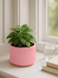 Saksija - roze - SINSAY - small1