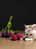 Igračka za kućnog ljubimca - više boja - SINSAY - small1