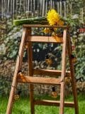 Solarne luči - oranžna - SINSAY - small3