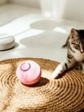 Interaktiivne mänguasi loomadele - pastellroosa - SINSAY - small1