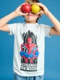 T-särgid Spiderman, 2 tk - mitmevärviline - SINSAY - small3