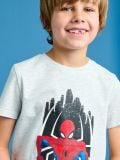T-särgid Spiderman, 2 tk - mitmevärviline - SINSAY - small7