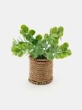 Okrasna umetna roža - zelena - SINSAY - small3