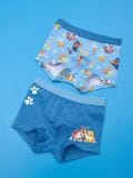 Confezione da 2 paia di boxer PAW Patrol - multicolor - SINSAY - small1