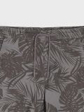 Jogger šorc - siva - SINSAY - small12