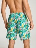 Šortai SpongeBob - multicolor - SINSAY - small2