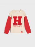 Bluza Harry Potter - wielobarwny - SINSAY - small1