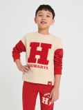 Bluza Harry Potter - wielobarwny - SINSAY - small3