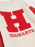 Bluza Harry Potter - wielobarwny - SINSAY - small2